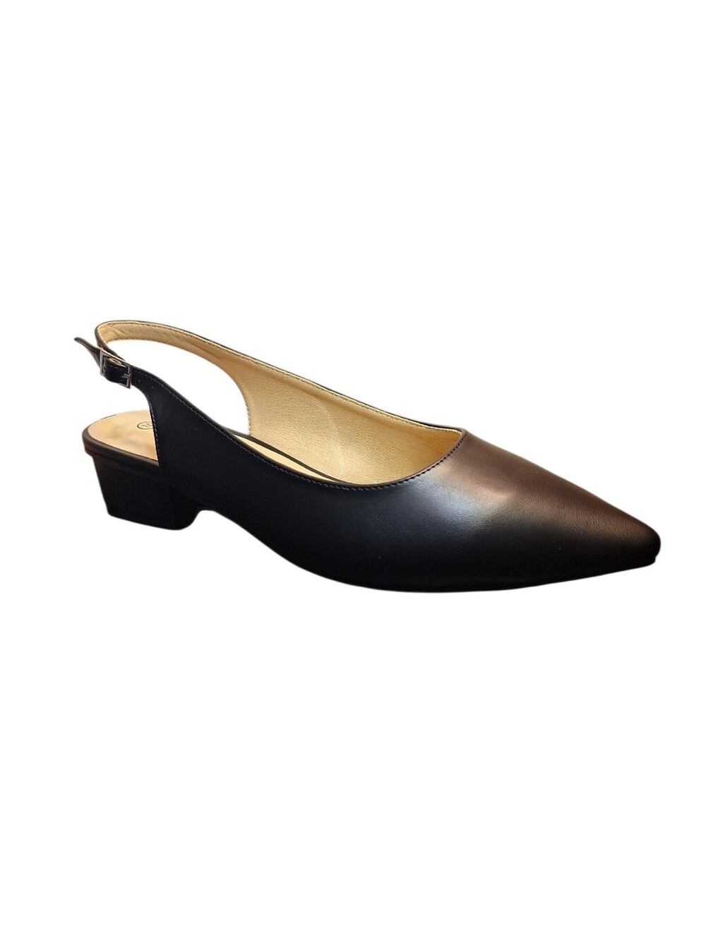 NWT Rouge Pointed Toe Slingback Low Block Heels